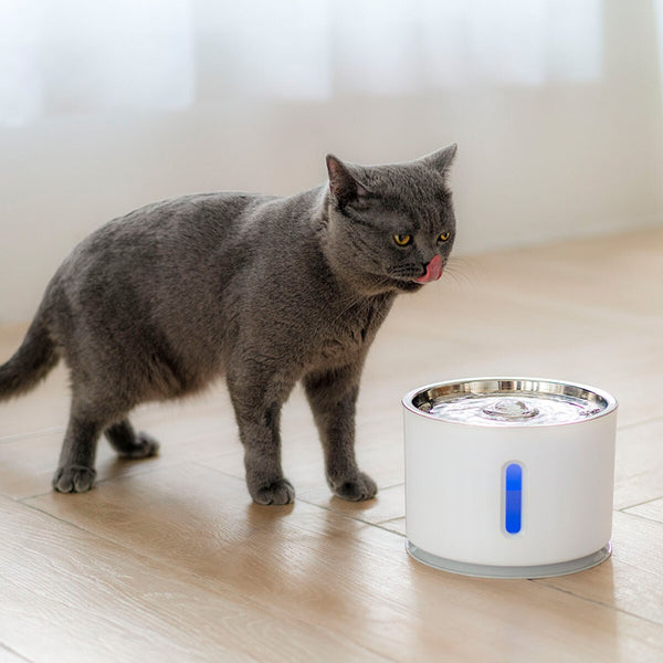 Nice Drinking Fountain for Cats