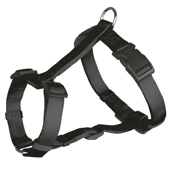 Classic H harness