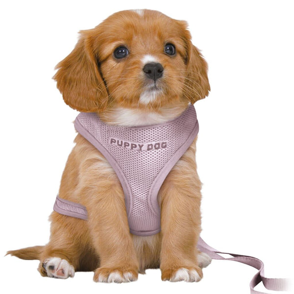 Junior Puppy Soft Harness with Leash