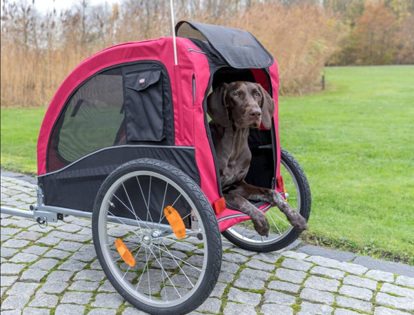 dog bike trailer