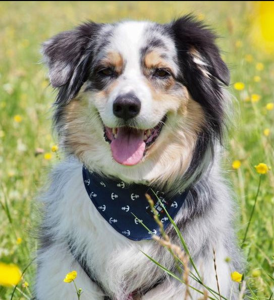 KNAUDERS BEST neckerchief anchor navy