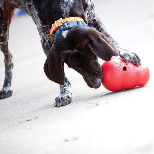 Kong food ball wobbler