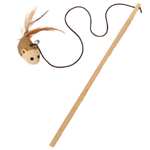 Funny Cat Fishing Toy