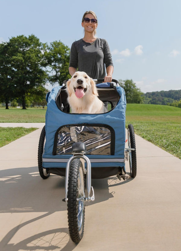 PetSafe conversion kit to stroller