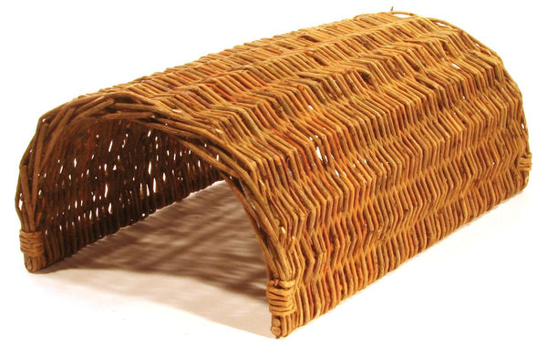 basket rodent cave