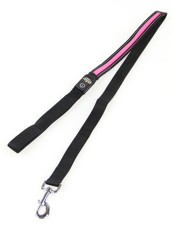 Fluorescent leash