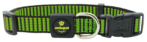 Dog collar City Dog