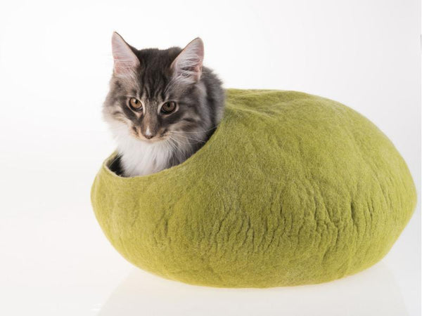 Kiviki's Cuddle Cave Cat Cave