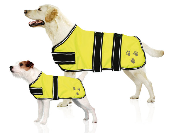 Nightdog dog glow coat