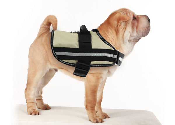 Dog Harness Arrow