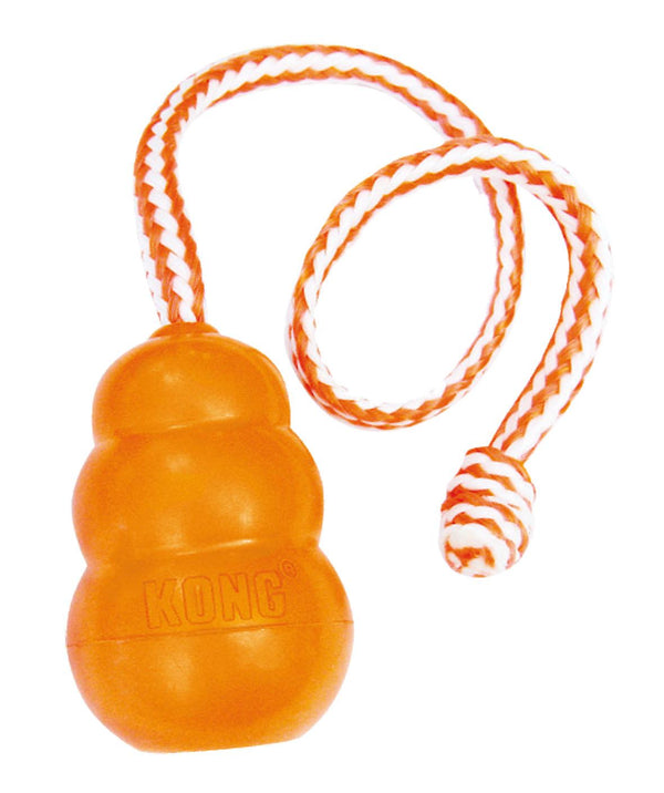 Kong dog toy Kong Aqua