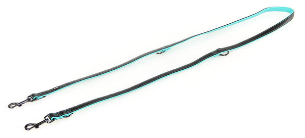 Leash Dover