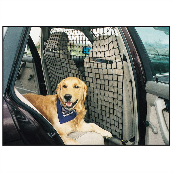 car safety net