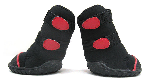 Paw protection shoes swap