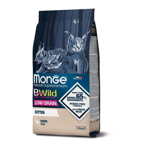 monge cat Bwild LG kitten wild goose