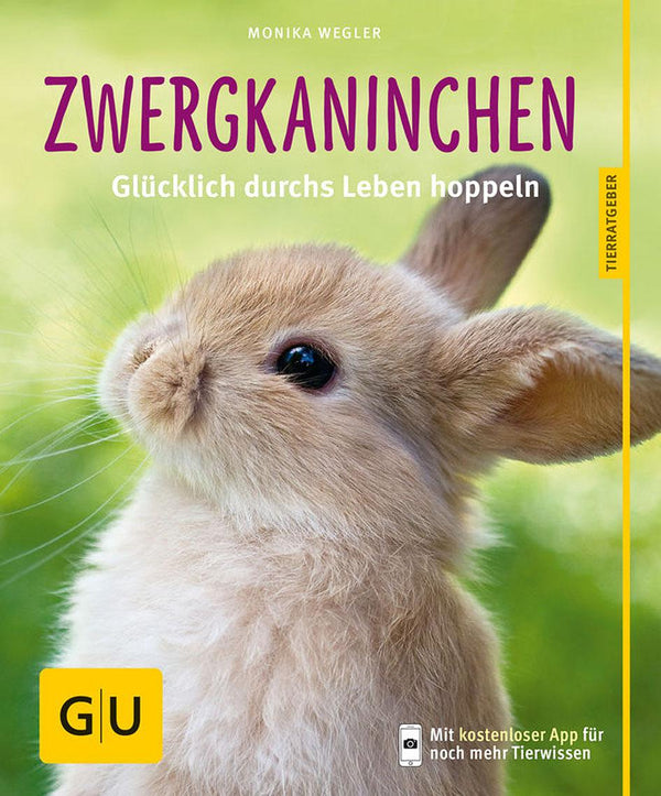 GU dwarf rabbit
