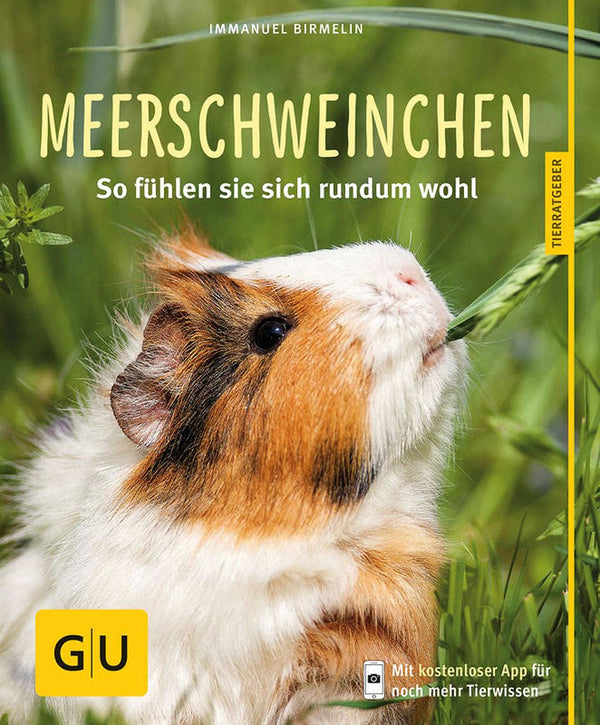 GU guinea pigs