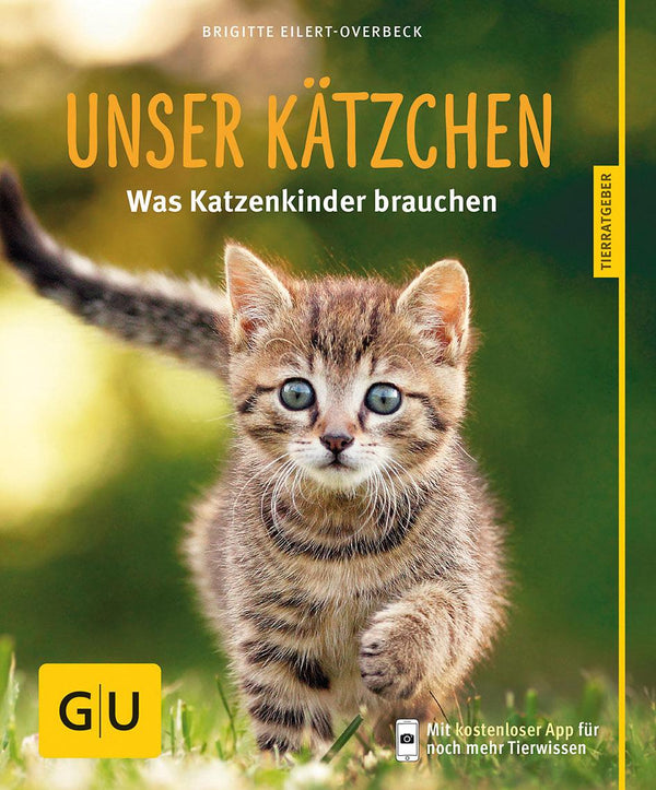 GU Our kitten