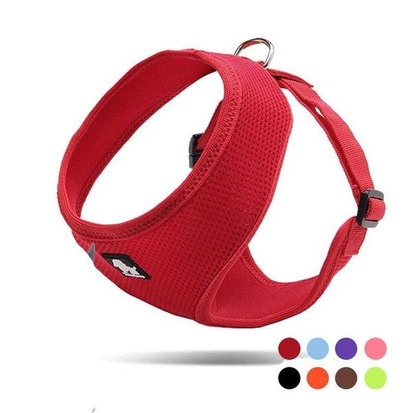 Dog harness