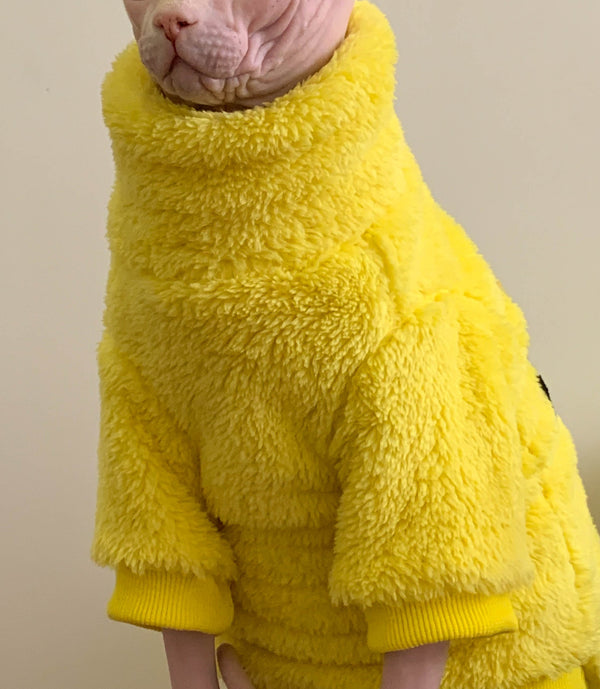Warm sweater for hairless cats