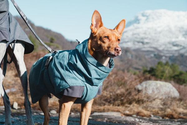 Hurtta Expedition Parka