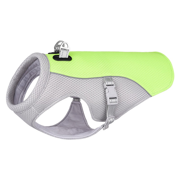 Cool dog harness