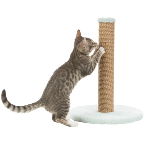 Junior scratching post on plate, 42 cm, mint