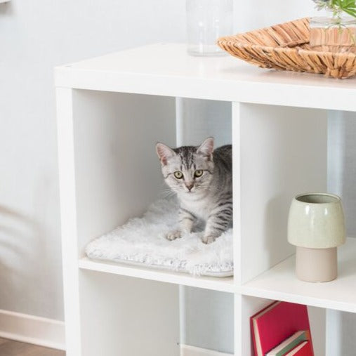 Mat Harvey for shelves, 33×38 cm