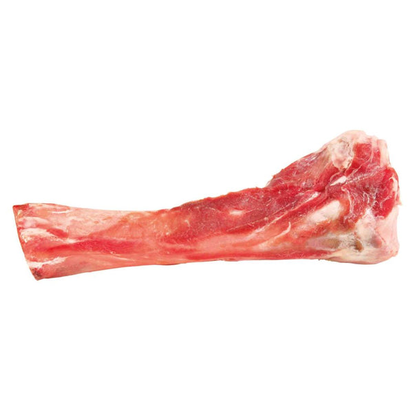 6x tibia bones, 17 cm, 200 g