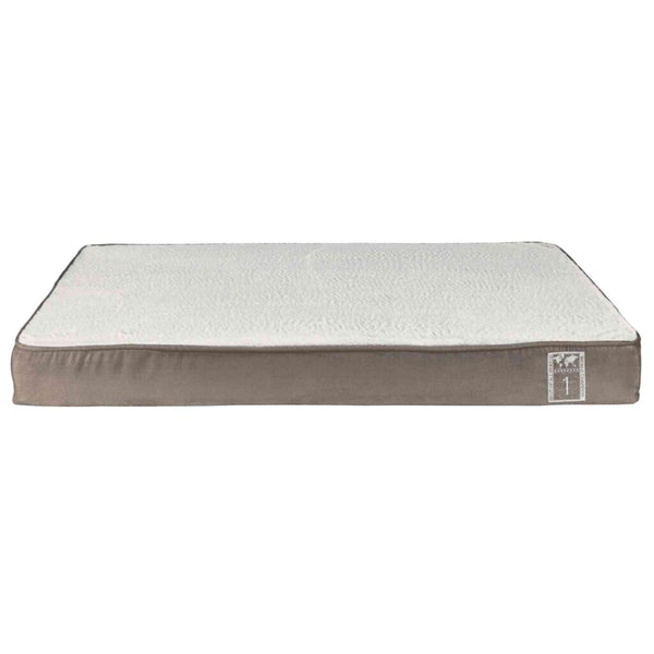 Vital Mattress Best of all Breeds