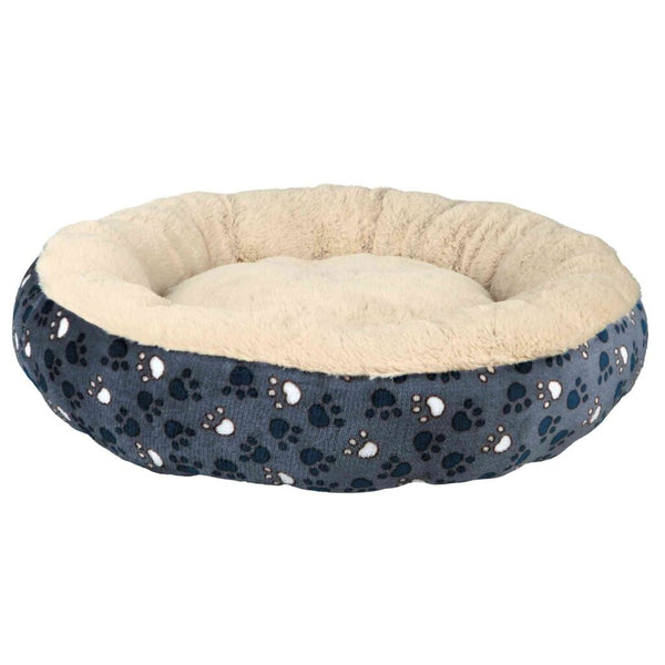 bed tammy