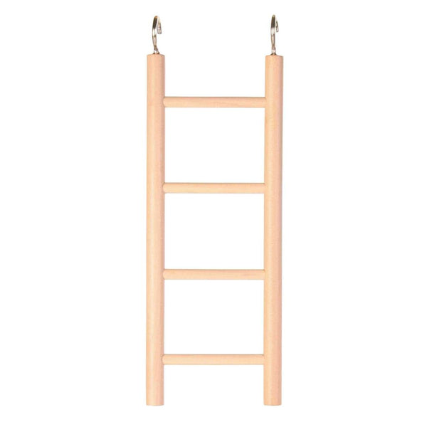 wooden ladder