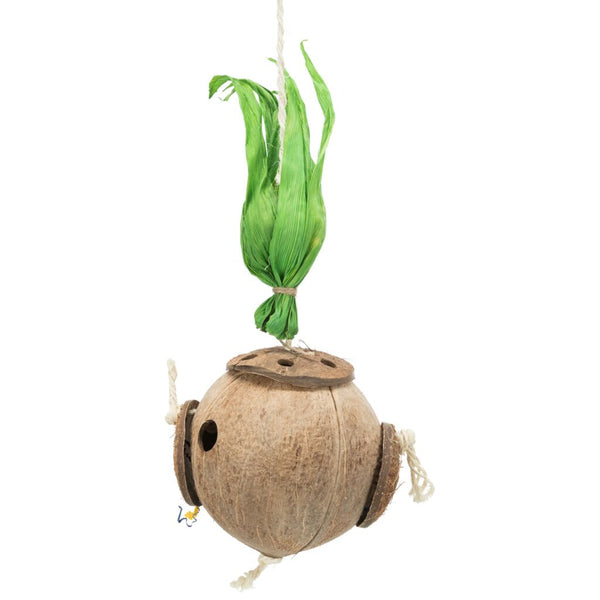 Coconut on sisal rope, 35 cm