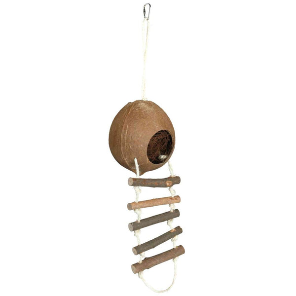 Coconut house, mice