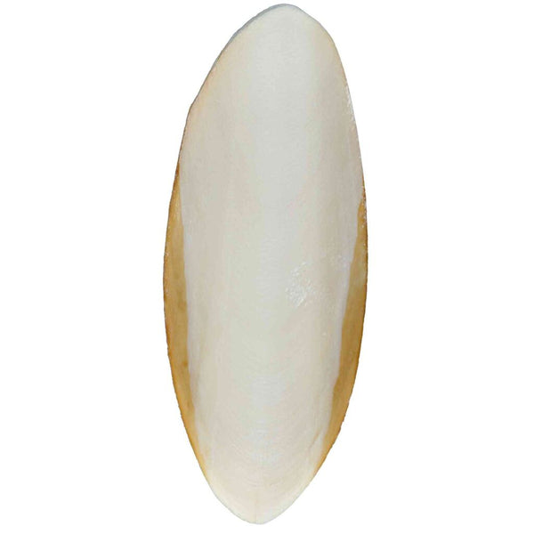 6x set of sepia bowls, small, 2 pc.