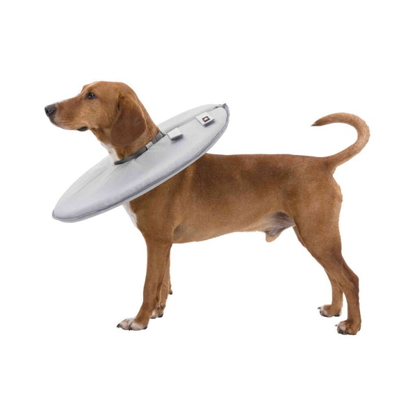 Protective collar grey
