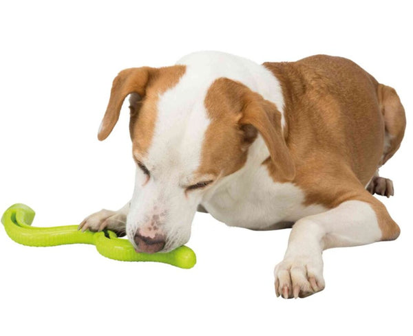 Snack snake, TPR, 42 cm