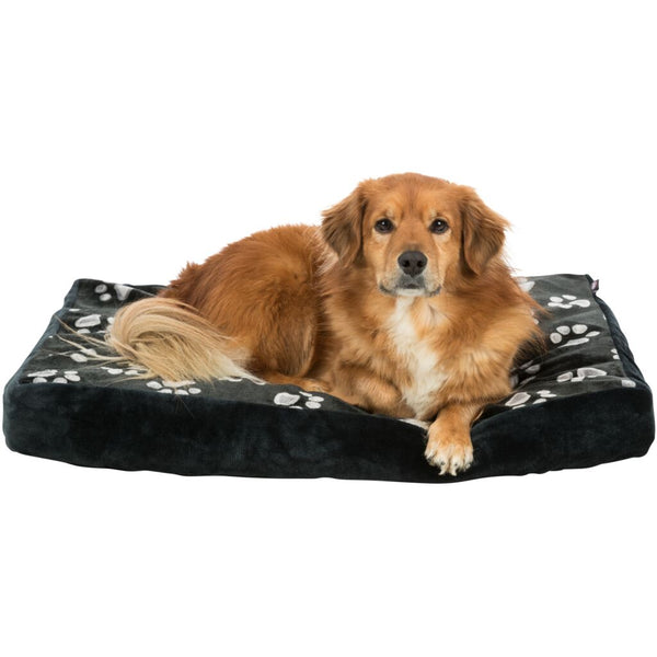 Pillow Jimy