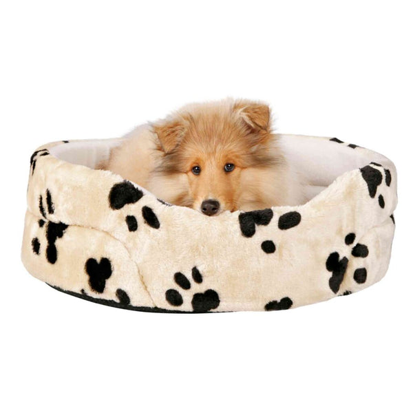 bed joey