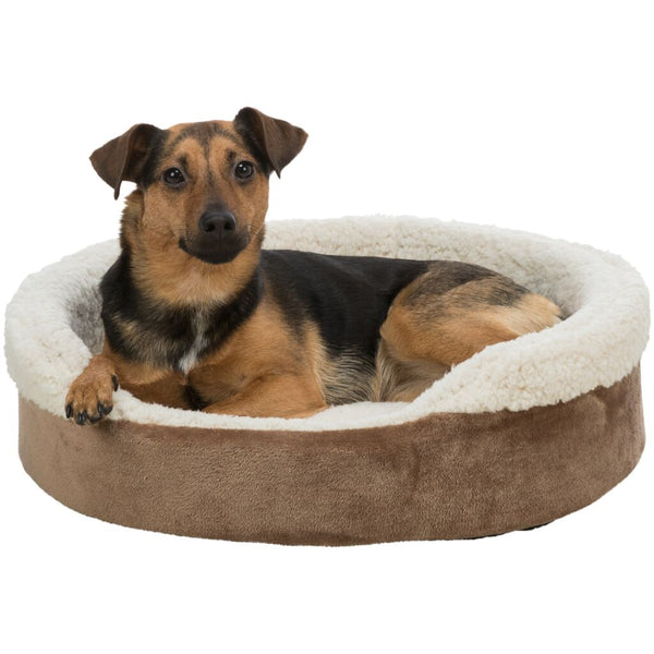 bed Cosma