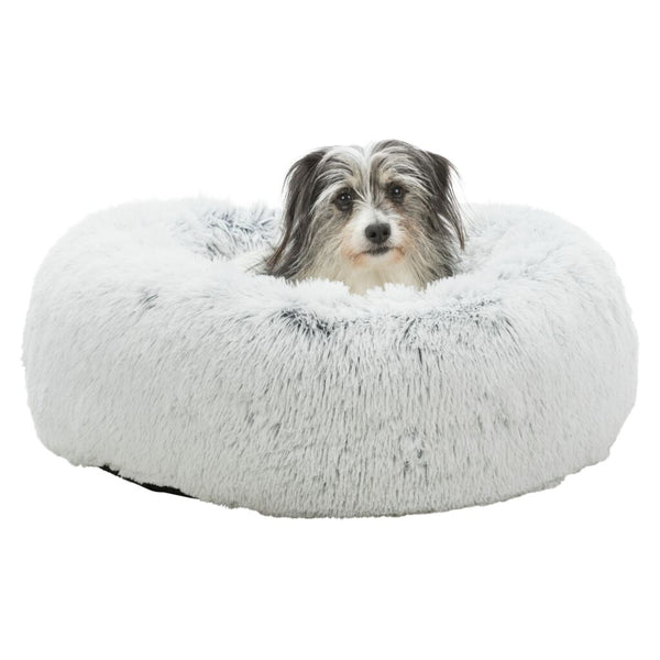 bed Harvey