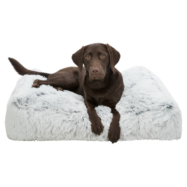 Pillow Harvey