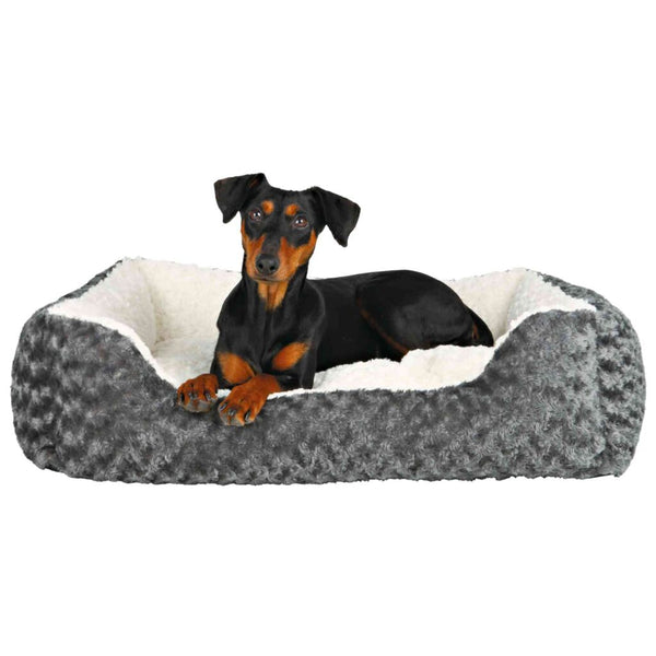 bed Kaline