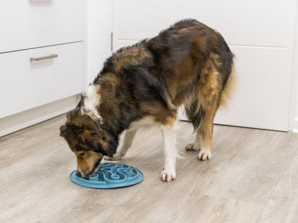 Slow feeding mat ø 28 cm, blue