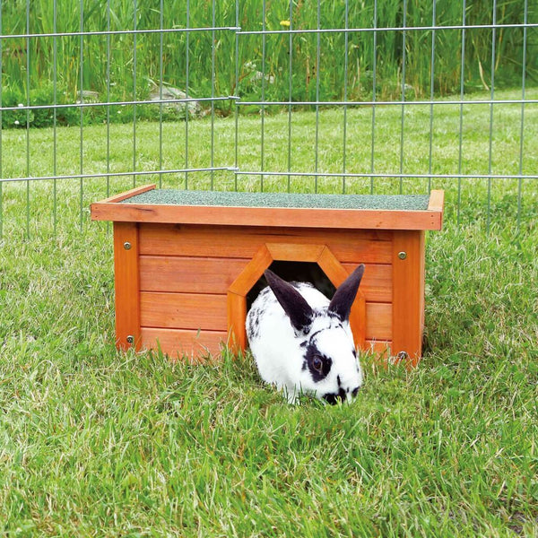 House for small animals