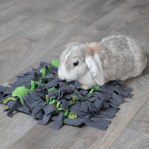 Sniffing carpet, 27 × 20 cm, grey/green