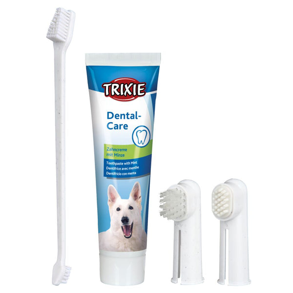 Dental care set, dog, 100 g