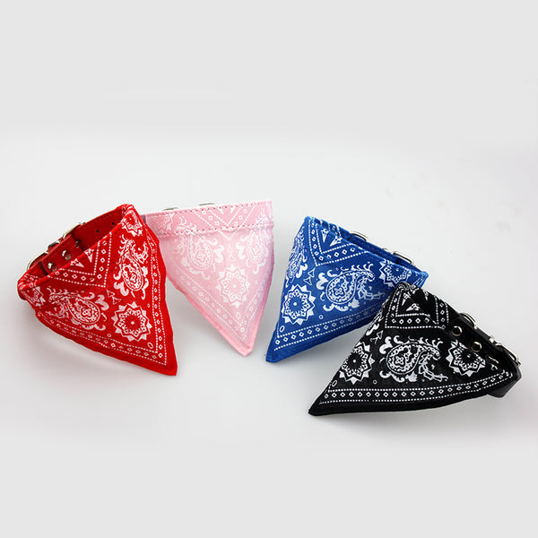 Coloured Bandana Collar